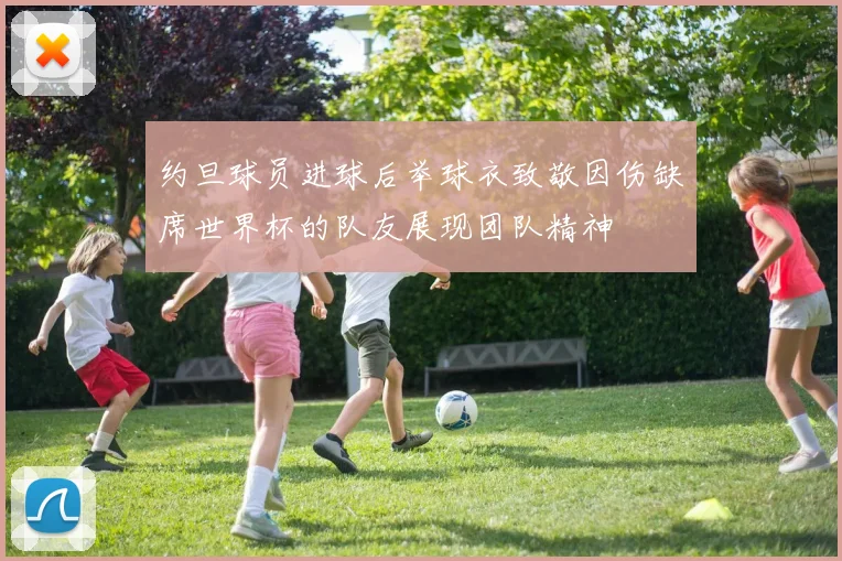 约旦球员进球后举球衣致敬因伤缺席世界杯的队友展现团队精神