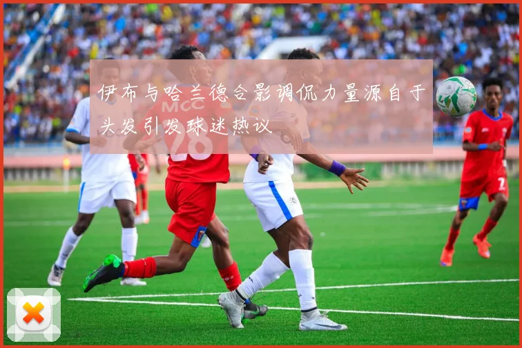 伊布与哈兰德合影调侃力量源自于头发引发球迷热议