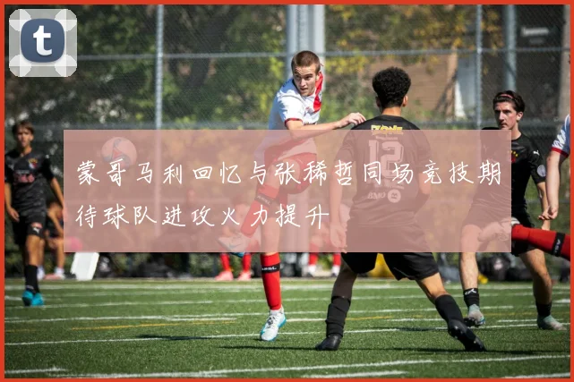 蒙哥马利回忆与张稀哲同场竞技期待球队进攻火力提升